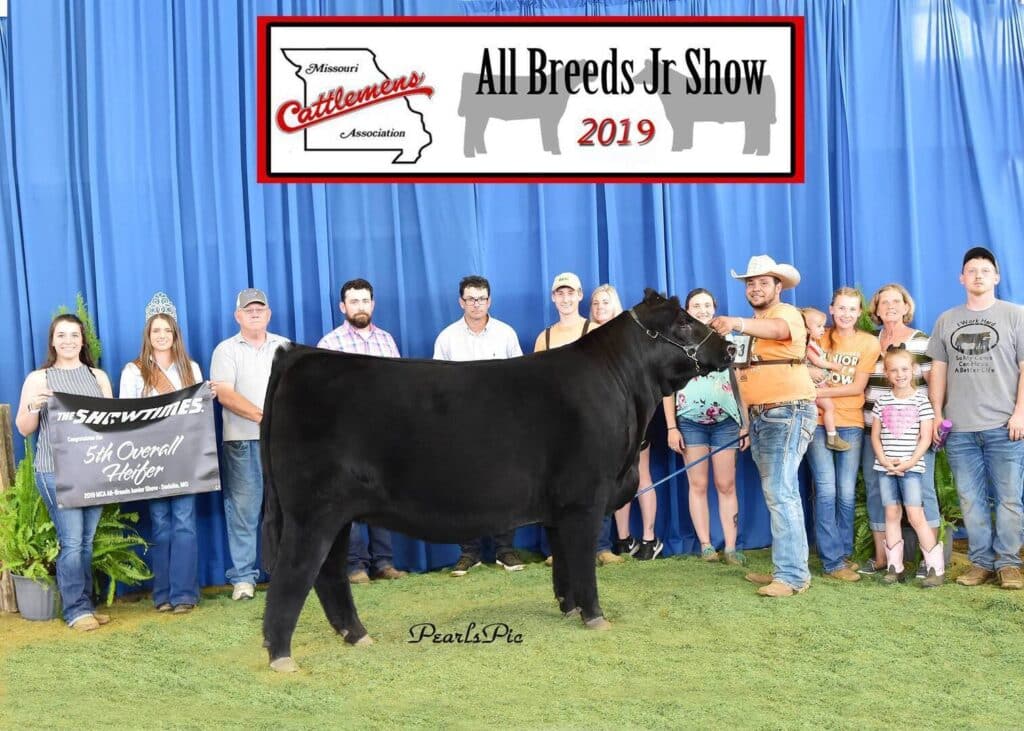 A group of people stands behind a black heifer at the Missouri Cattlemen’s All Breeds Jr Show 2019. One person holds a banner reading “5th Overall Heifer.” A blue curtain and show sign are in the background.