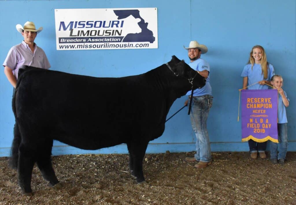 Four people pose with a black heifer in front of a blue wall and a Missouri Limousin Breeders Association sign. Two hold a Reserve Champion Heifer MLBA Field Day 2019 banner.