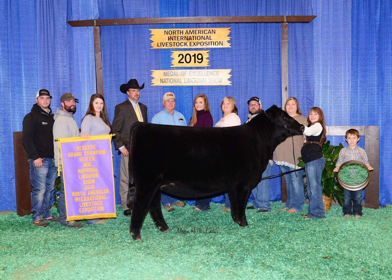 A group of people stand behind a black cow at the 2019 North American International Livestock Exposition. A man holds a banner for the Reserve Grand Champion Heifer; a blue curtain and signs are in the background.