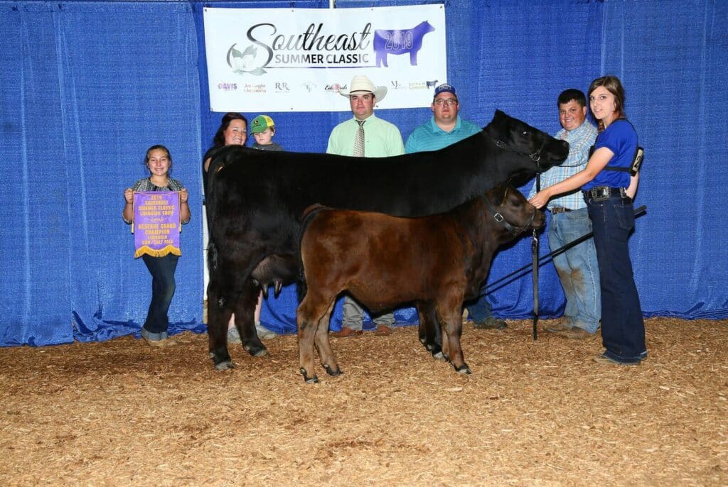 A group of people pose with a black cow and calf at the Southeast Summer Classic livestock show. One girl holds a purple award banner. A blue curtain and event sign are in the background.