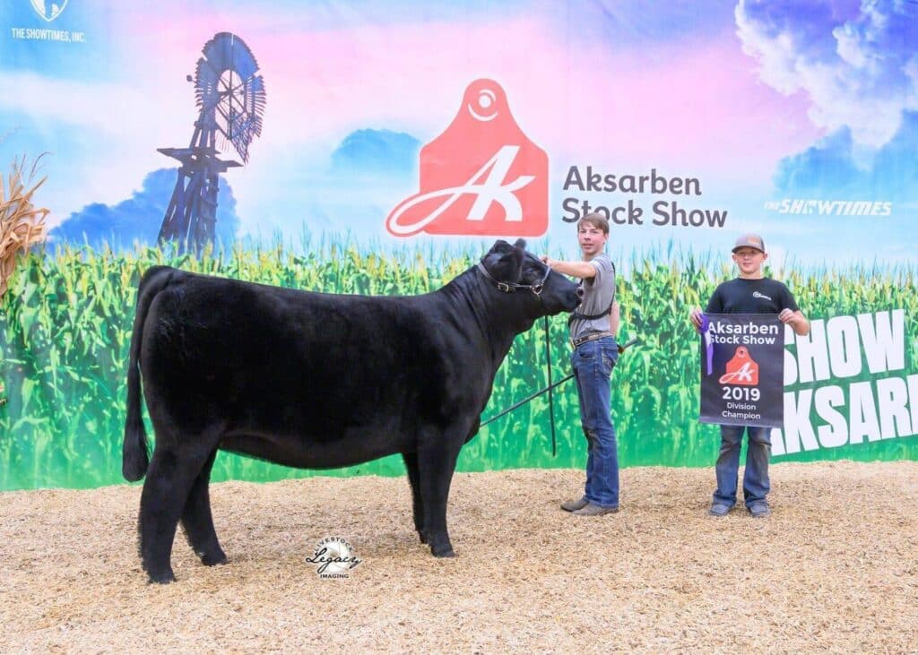 Two young people pose with a large black cow at the Aksarben Stock Show. One holds the cow’s lead, while the other holds a sign reading “Aksarben Stock Show 2019 Division Champion.” Cornfield and windmill backdrop.