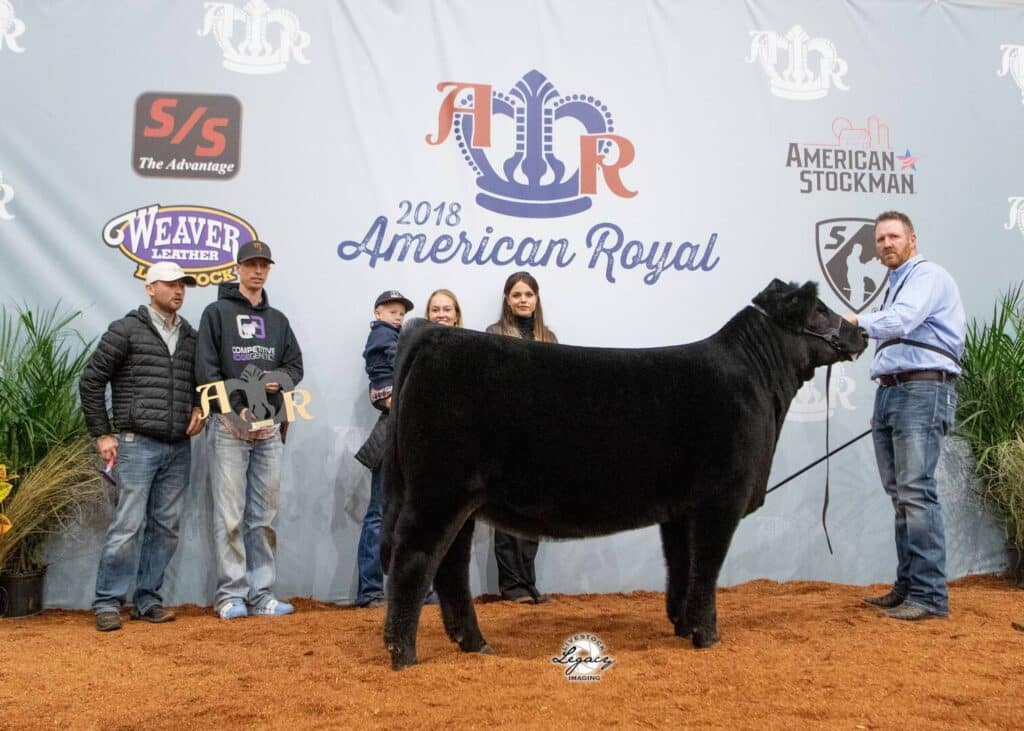 A group of people pose with a black steer at the 2018 American Royal livestock show, standing on orange sawdust in front of a decorated event backdrop with logos and banners.