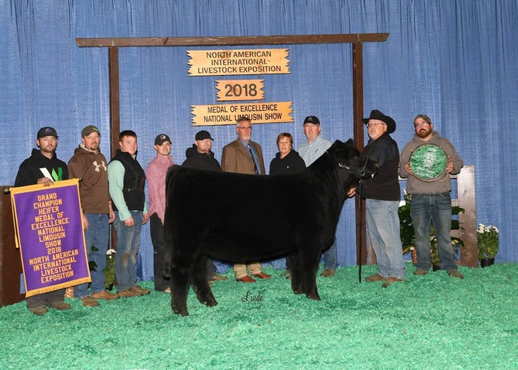A group of people pose with a black cow at the 2018 North American International Livestock Exposition. They stand near award signs, including one noting Grand Champion, in front of a blue curtain and wooden display.