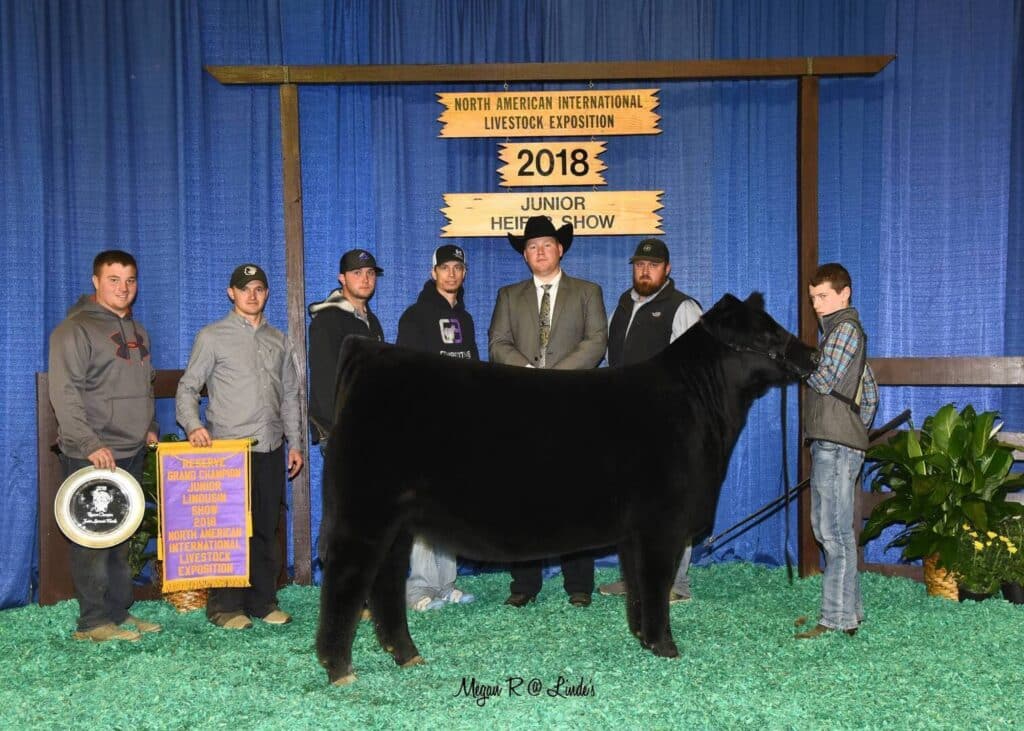 A group of six people pose with a black cow in front of a blue curtain and a 2018 North American International Livestock Exposition Junior Heifer Show sign. Two hold awards, and one person is showing the cow.