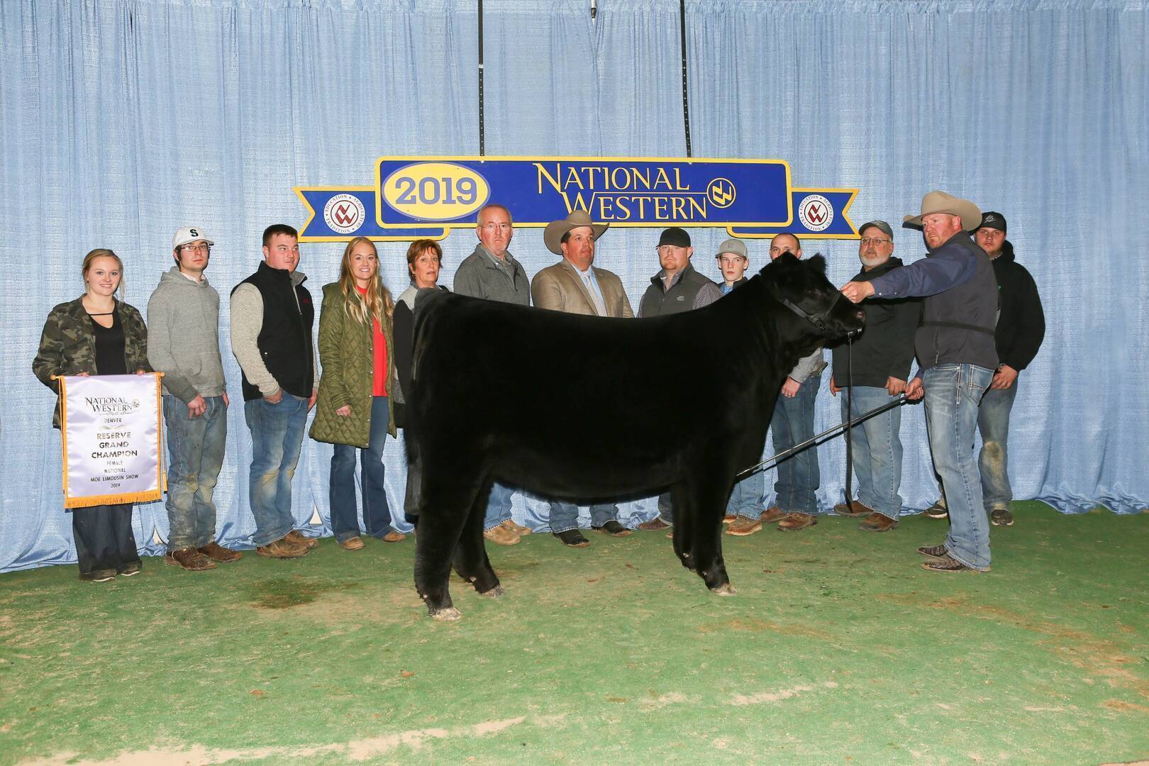 A group of people stand behind a black steer at the 2019 National Western event. One person holds the steer by a lead, while another holds a banner reading Reserve Grand Champion Market Steer. A blue curtain is in the background.