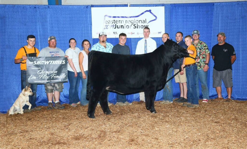 A group of people stands behind a black cow at a livestock show. One person holds a sign reading Champion Lim-Flex Female. A dog sits at the front. A blue curtain and event banner are in the background.