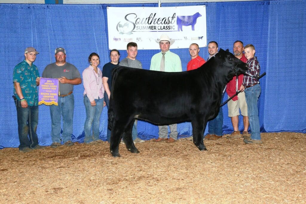 A group of people pose with a black cow in front of a blue curtain and a Southeast Summer Classic banner. One person holds a purple award banner that reads Reserve Champion Heifer.