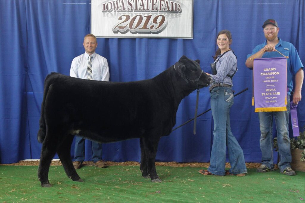 Three people pose with a black steer at the Iowa State Fair 2019. One woman holds the steer, while a man holds a Grand Champion banner. A third man in a tie stands smiling on the left. Blue curtain and fair sign in background.