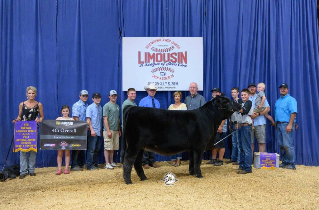 A group of people poses with a black cow at a livestock show. Behind them is a blue curtain with a sign reading Limousin and awards for 4th Overall and Division Champion are displayed in front.