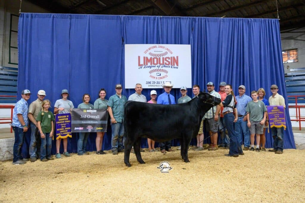 A group of people pose behind a black cow at a livestock show. They hold banners reading “3rd Overall” and “Reserve Division.” A blue curtain and event signage for a Limousin cattle show are in the background.