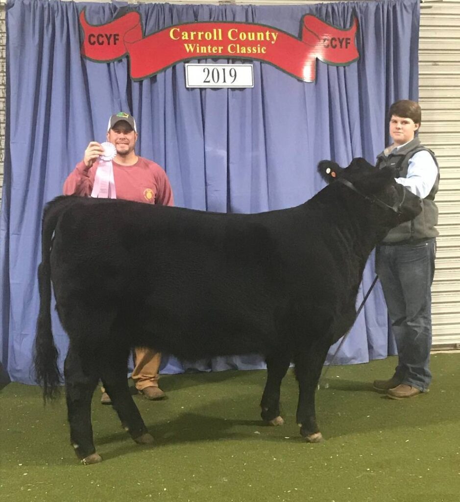 Two young men stand with a black cow at the Carroll County Winter Classic 2019. One holds a ribbon and smiles; the other holds the cow’s lead. Blue curtains and a red event banner are in the background.