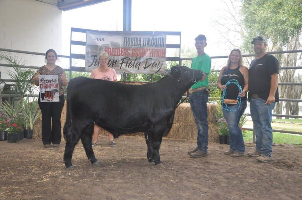 Five people stand around a black cow in an indoor arena. One person holds a Reserve Champion sign. A banner behind them reads Florida Limousin Breeders Association Field Day 2019. Some potted plants are in the background.