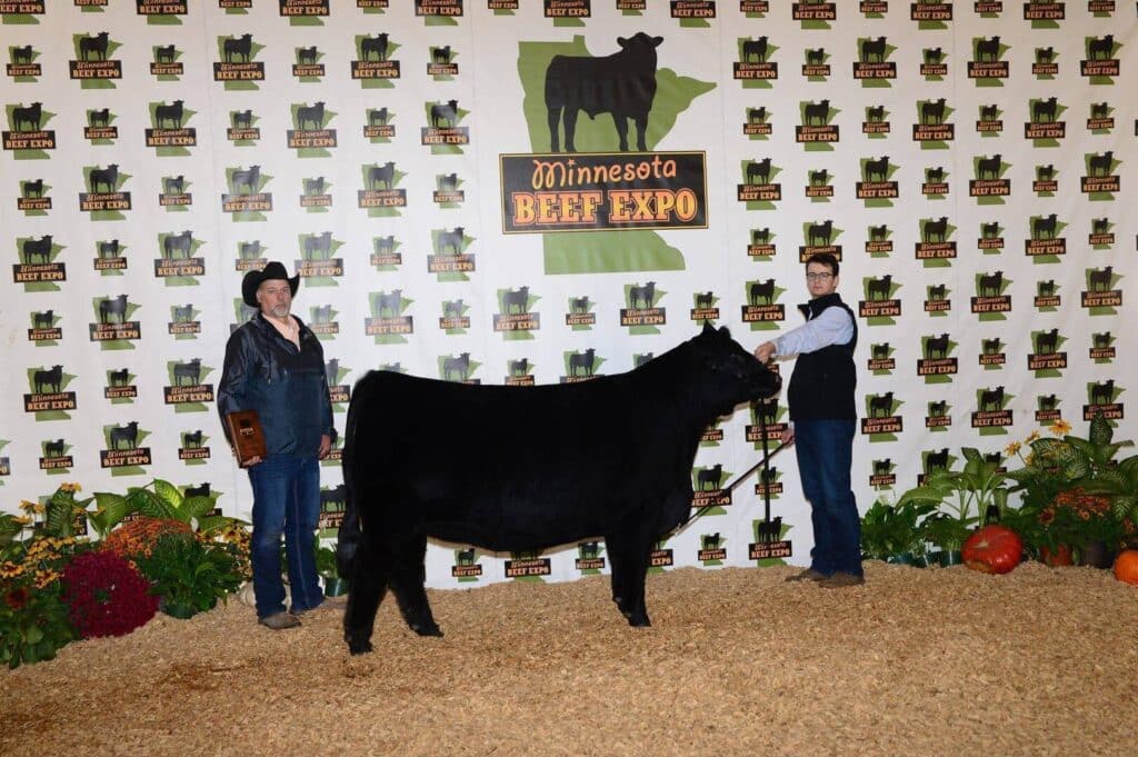 Two people pose with a black cow in front of a Minnesota Beef Expo backdrop decorated with logos, flowers, and pumpkins on the ground. One person holds a plaque, while the other holds the cows leash.