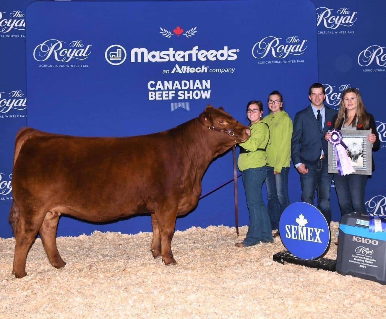 Four people stand behind a prize-winning brown cow at the Canadian Beef Show, holding a ribbon and framed photo. They are on a sawdust-covered floor in front of a blue backdrop with event and sponsor logos.