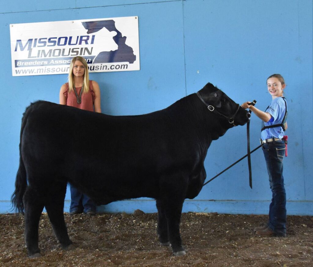 Two people stand with a black cow in front of a blue wall and a “Missouri Limousin Breeders Association” sign. One person holds the cow’s lead while smiling at the camera.