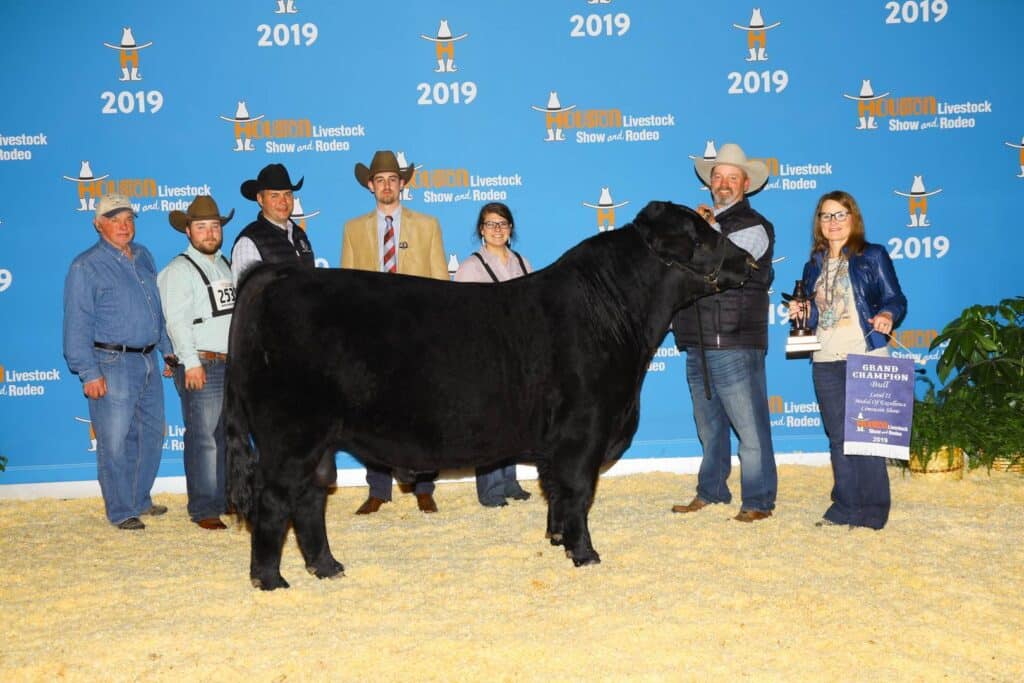 A group of people stands around a black cow at the 2019 Houston Livestock Show and Rodeo, posing for a photo with awards in front of a blue event backdrop.