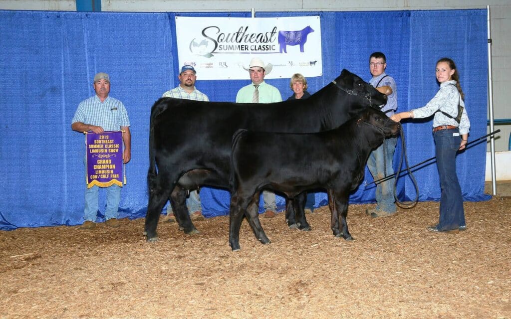 A group of people stand behind two black cattle in an indoor show ring, under a Southeast Summer Classic banner. One man holds a purple champion sign, and a woman holds the lead of one of the cattle.