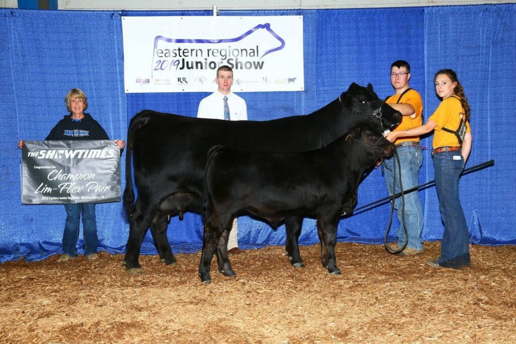 Four people stand with two black cattle at a livestock show. One woman holds a banner reading Champion Lim-Flex Pair. A blue curtain and event banner are in the background, with wood shavings covering the floor.