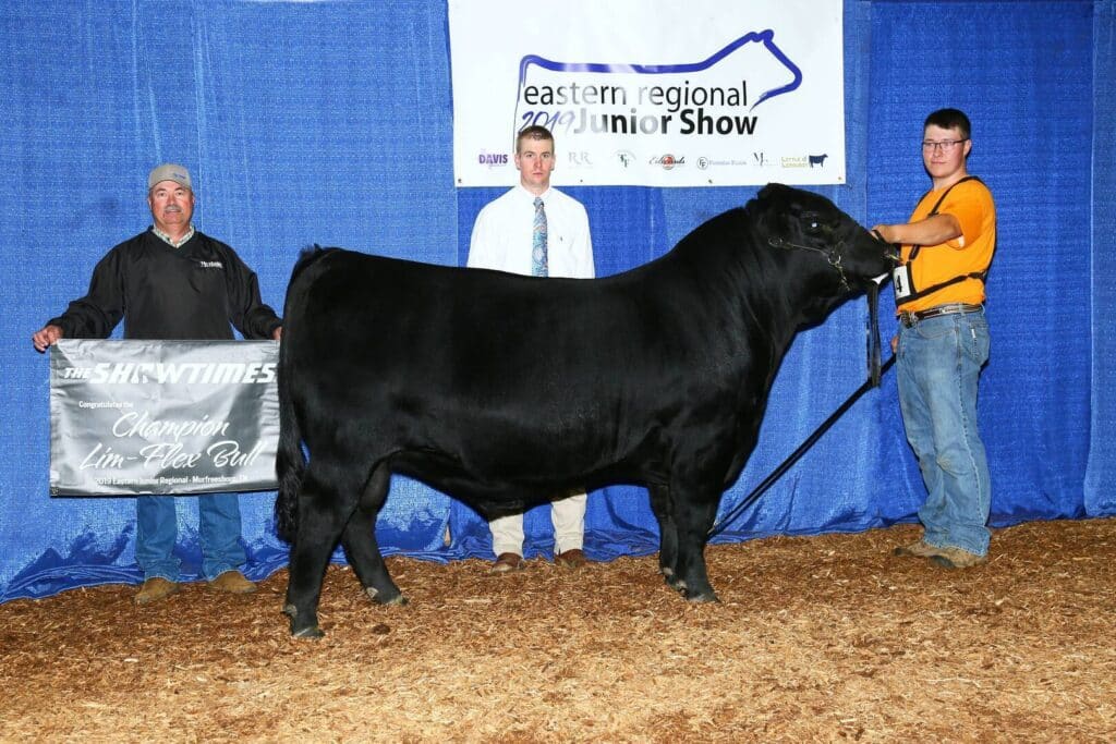 Three men pose with a large black bull at the Eastern Regional Junior Show. One man holds a banner reading Champion Lim-Flex Bull, while another man holds the bull by a halter. Blue curtains and a show sign are in the background.
