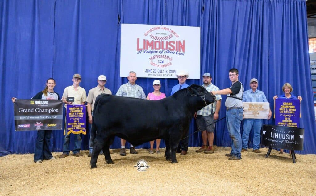 A group of people pose with a black cow in front of a blue curtain and a Limousin cattle show sign. They hold banners and a plaque indicating the cow has won Grand Champion awards.