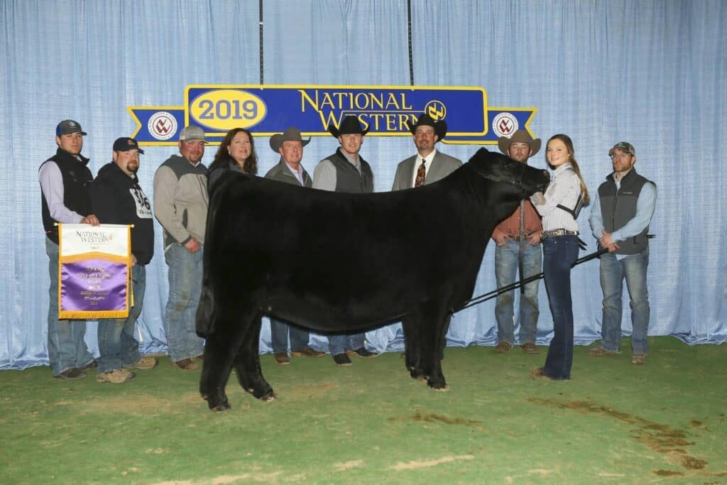 A group of people stands around a black cow at the 2019 National Western event. A woman holds the cows lead, while another person displays a purple and gold award banner. A blue curtain and event sign are in the background.