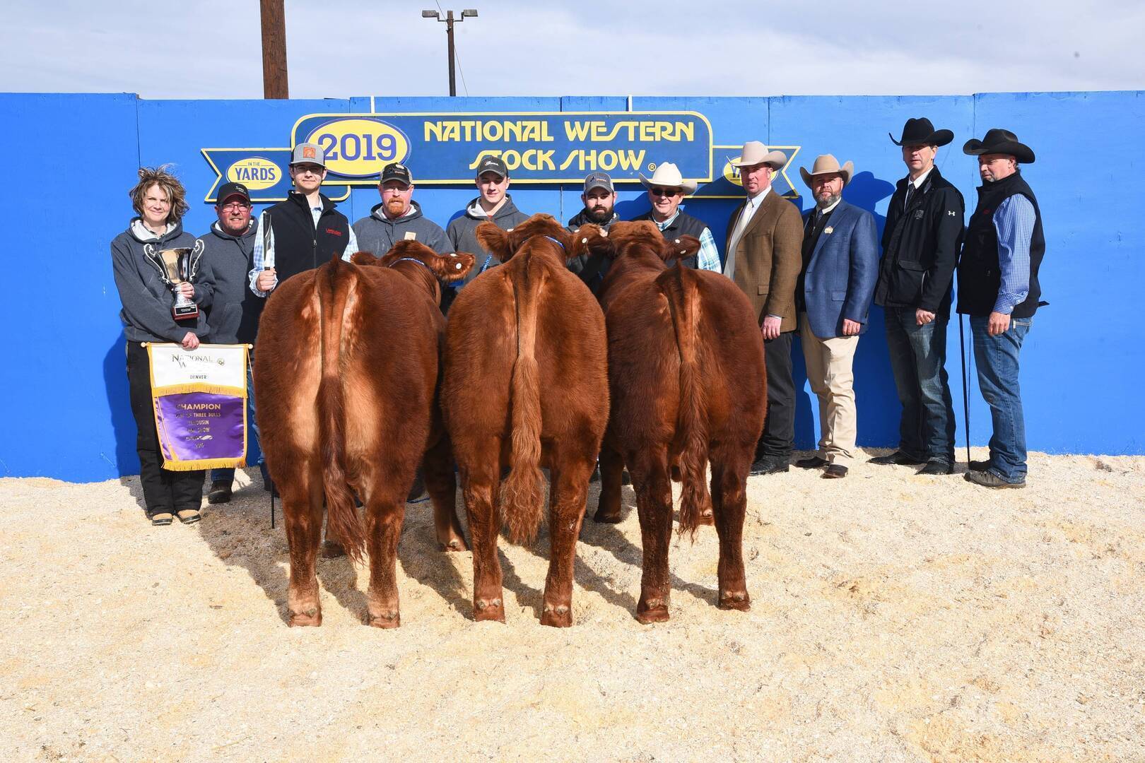 A group of people pose with three reddish-brown cattle at the 2019 National Western Stock Show; the cattle face away, while some people hold a trophy and a purple champion banner, standing in front of a blue backdrop.