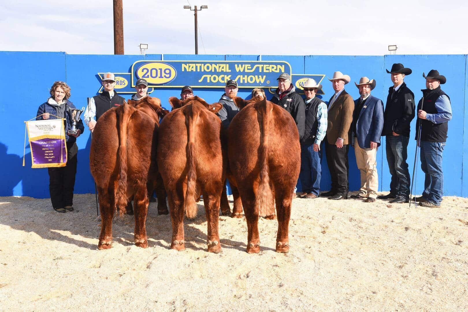 A group of people in western attire stand behind four reddish-brown cattle at the 2019 National Western Stock Show, posing with ribbons and a banner in front of a blue backdrop.