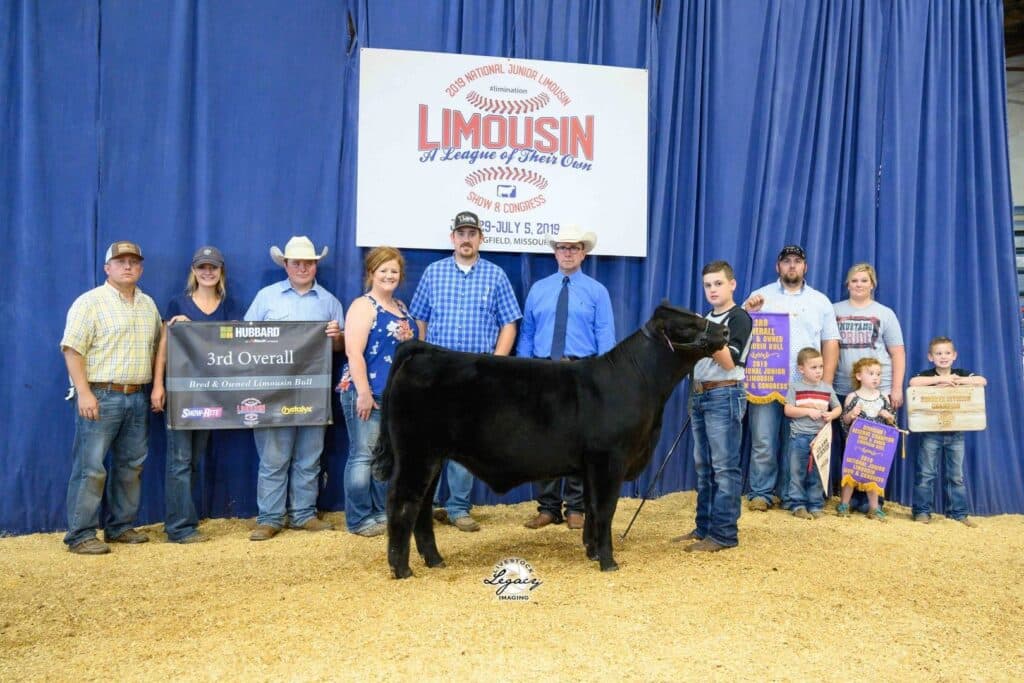 A group of people stand around a black cow at a livestock show. They hold banners that read 3rd Overall and Reserve Division Champion in front of a sign that says Limousin Junior National Show.