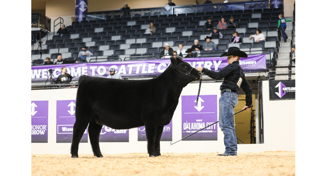 A person in a black cowboy hat and shirt presents a black cow in an indoor arena with empty seats and a Welcome to Cattle Country banner in the background.