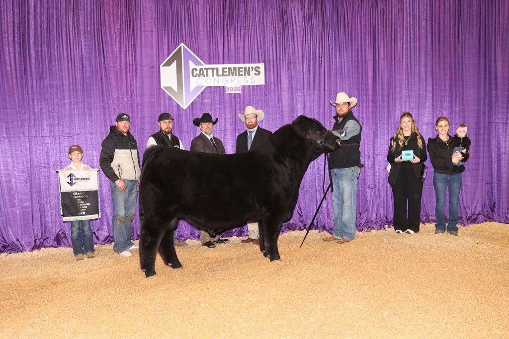 A black steer stands in front of a purple curtain with a “Cattlemen’s Congress” sign, surrounded by people, some holding awards.