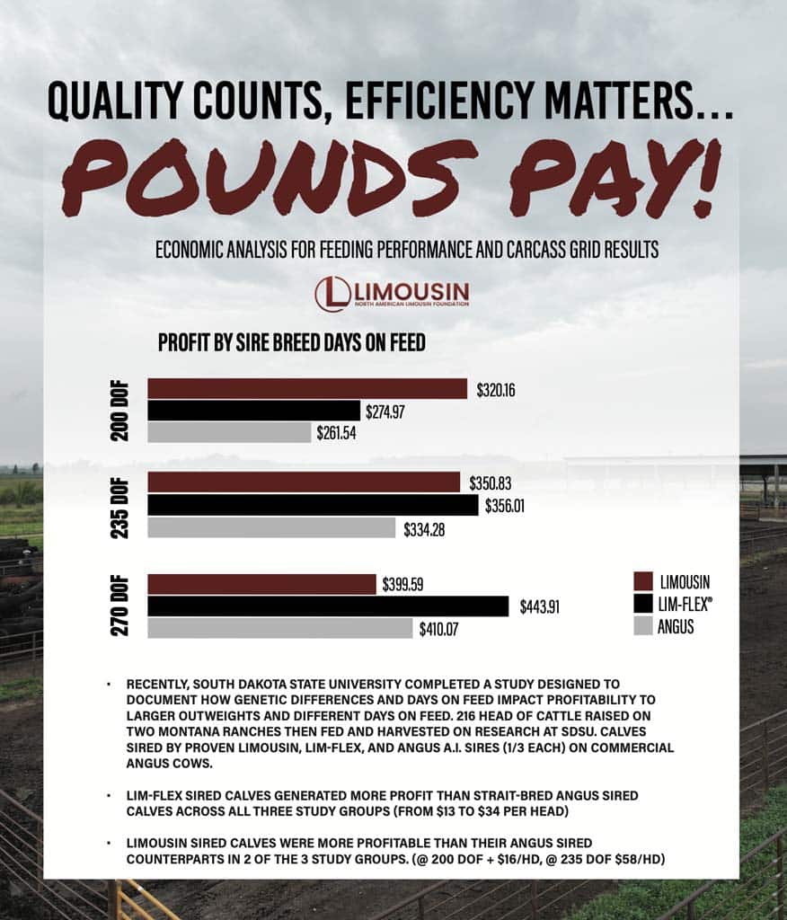 Chart compares profit per head by sire breed (LIM-FLEX® vs. Angus) for 200, 235, and 270 days on feed; LIM-FLEX® outperforms Angus at all time points; text details study findings.
