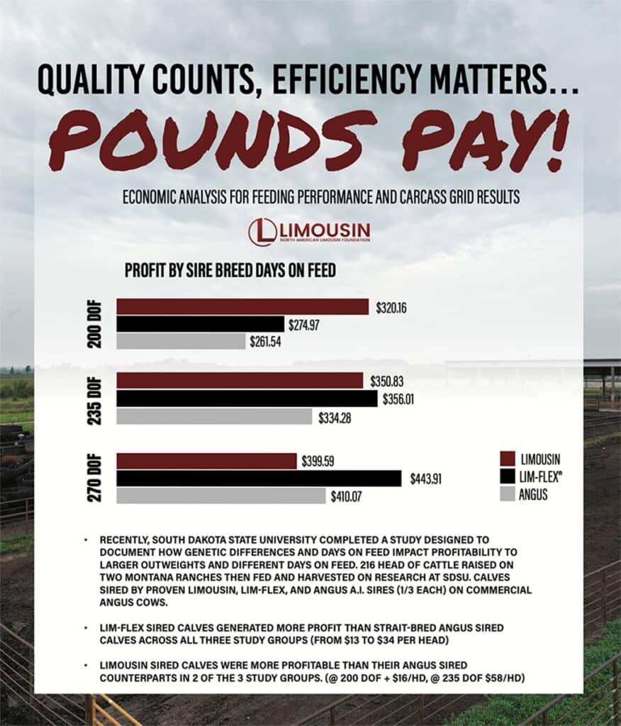 Bar chart comparing profit by sire breed (Limousin and LIM-FLEX®/Angus) for cattle days on feed (200, 235, 270 DOF). Profit increases with days on feed and is highest for Limousin. Text details study findings and profit differences.