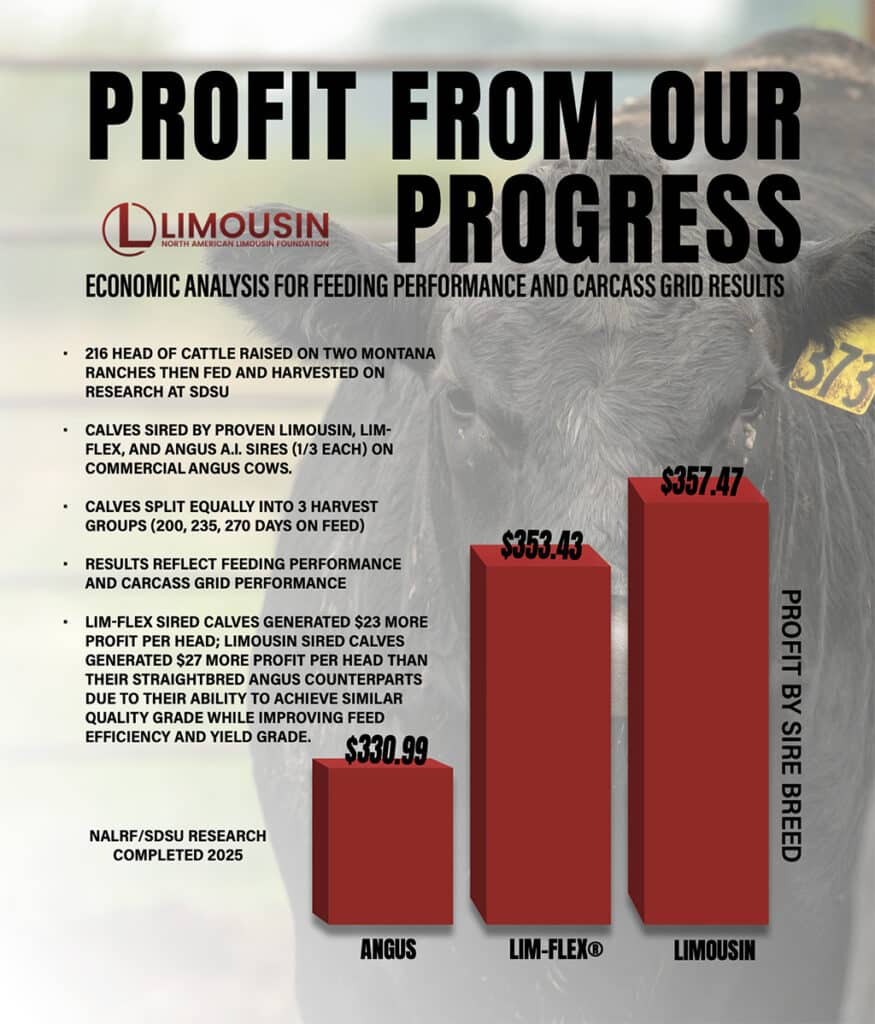 Bar graph compares profit by sire breed: Angus ($330.99), Lim-Flex ($353.43), and Limousin ($357.47). Limousin breeds show highest profit per head. Text explains economic analysis of feeding and carcass results.
