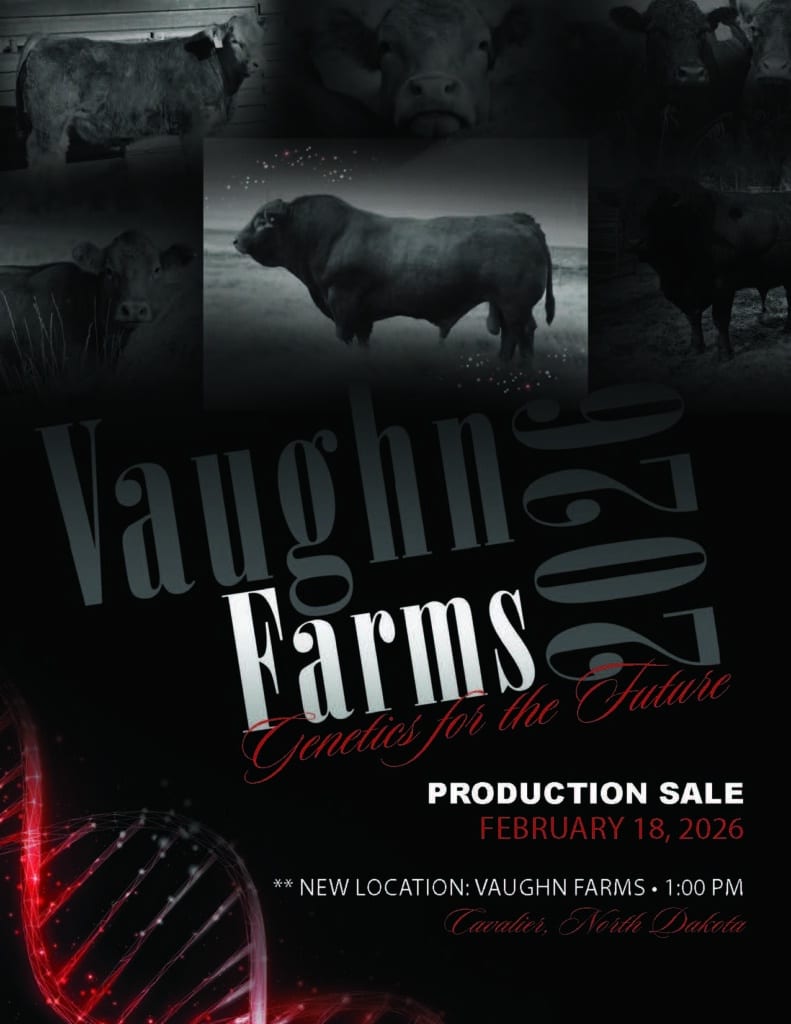 A promotional poster for Vaughn Farms 2026 production sale featuring images of cattle, bold text, a DNA strand graphic, and event details for February 18, 2026, in Cavalier, North Dakota.