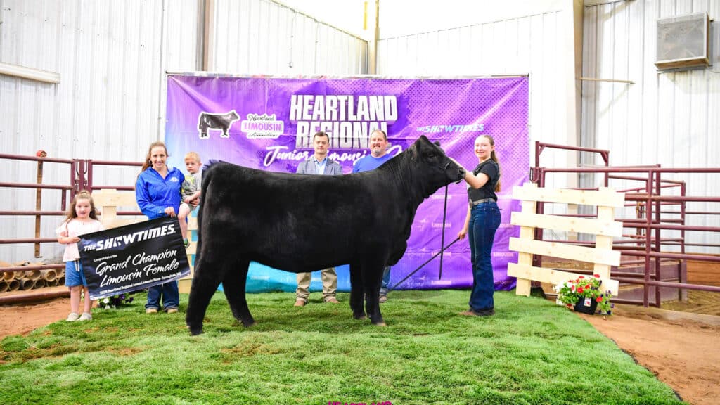 A group of people stand with a black cow in an indoor arena. Behind them is a purple “Heartland Regional Junior Show” banner. Two children hold a sign reading “Grand Champion Limousin Female.” Everyone is smiling.